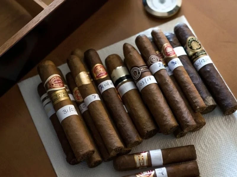 Premium cigars laid out on a humidor tray